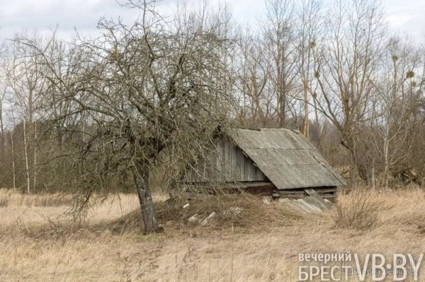 Отселенная жизнь. Как выглядят деревни белорусского Полесья, оставшиеся без людей в 1986-м?
