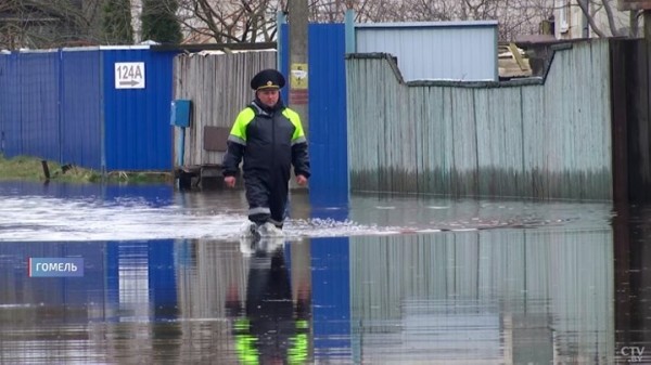 Семья из Гомеля теперь живёт на острове. Как белорусы справляются с крупнейшими паводками?