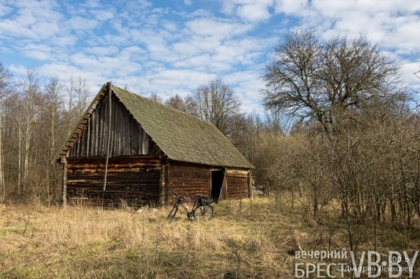 Отселенная жизнь. Как выглядят деревни белорусского Полесья, оставшиеся без людей в 1986-м?