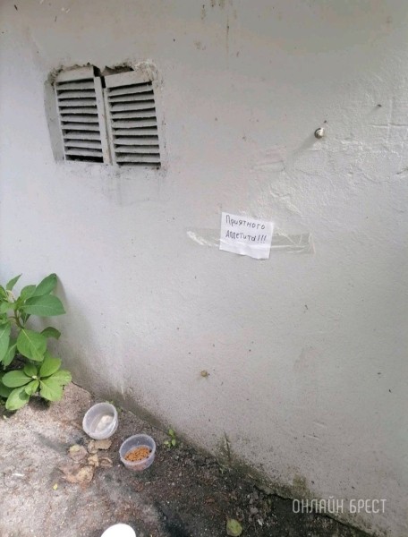 Читатель: Во дворах Бреста
Читатель: Во дворах Бреста