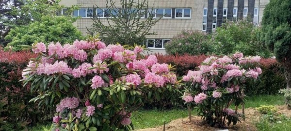 Эдем в центре Бреста