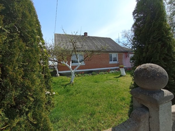 Муж ушел из семьи и оставил кредит — спас свой дом с огородом. Белоруски рассказали, как и почему переехали за город Муж ушел из семьи и оставил кредит — спас свой дом с огородом. Белоруски рассказали, как и почему переехали за город