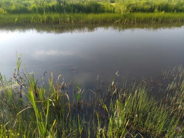 В Брестской области утонули два человека В Брестской области утонули два человека