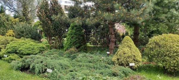 Эдем в центре Бреста