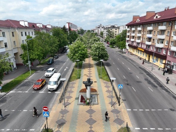 
                Посмотрите, как красиво цветут каштаны в Бресте
            