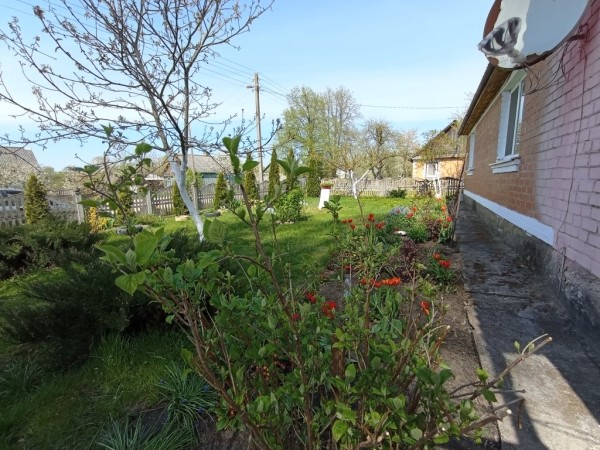 Муж ушел из семьи и оставил кредит — спас свой дом с огородом. Белоруски рассказали, как и почему переехали за город Муж ушел из семьи и оставил кредит — спас свой дом с огородом. Белоруски рассказали, как и почему переехали за город