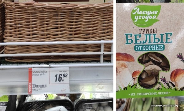 В Минске продаются роскошные белорусские грибы по 480 рублей за килограмм В Минске продаются роскошные белорусские грибы по 480 рублей за килограмм