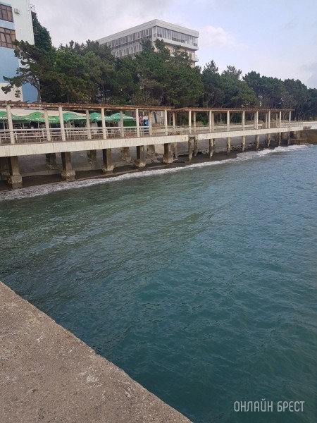 Читатель: Привет Бресту из Адлера!
Читатель: Привет Бресту из Адлера!