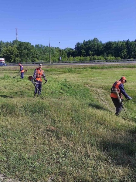 В Бресте продолжается покос травы. Где именно
В Бресте продолжается покос травы. Где именно