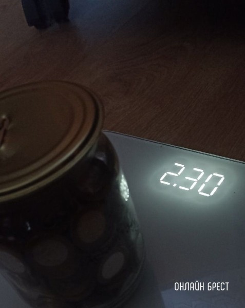 
                Читательница: 12-летняя девочка из Бреста полтора года назад начала собирать монеты. Бросала в полулитровую банку по два рубля. И вот результат: 702 рубля!
            