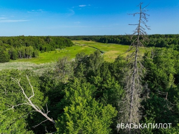 Беловежская пуща с высоты
Беловежская пуща с высоты