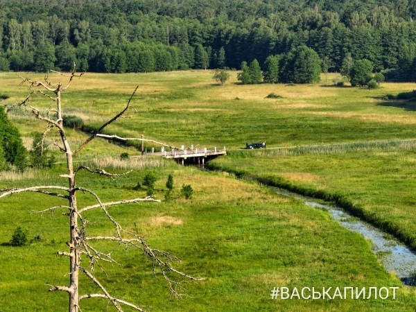 Беловежская пуща с высоты
Беловежская пуща с высоты