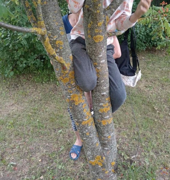 Нога мальчика застряла в дереве: помогли спасатели Нога мальчика застряла в дереве: помогли спасатели