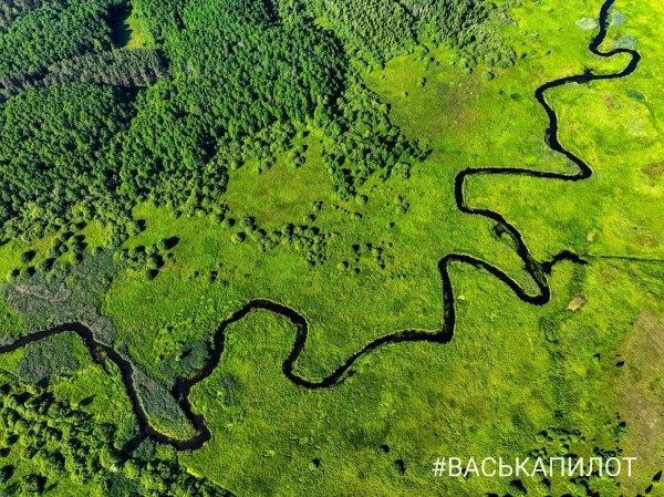 Беловежская пуща с высоты
Беловежская пуща с высоты