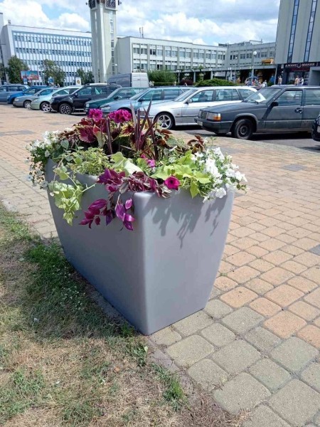 Брест продолжает готовится к празднованию Дня города
Брест продолжает готовится к празднованию Дня города