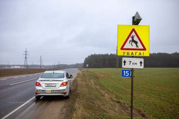 Объехать или идти на таран? Что делать, если на дорогу перед автомобилем выбежало дикое животное Объехать или идти на таран? Что делать, если на дорогу перед автомобилем выбежало дикое животное