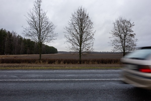 Объехать или идти на таран? Что делать, если на дорогу перед автомобилем выбежало дикое животное Объехать или идти на таран? Что делать, если на дорогу перед автомобилем выбежало дикое животное