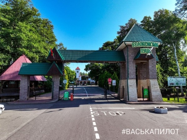 Беловежская пуща с высоты
Беловежская пуща с высоты