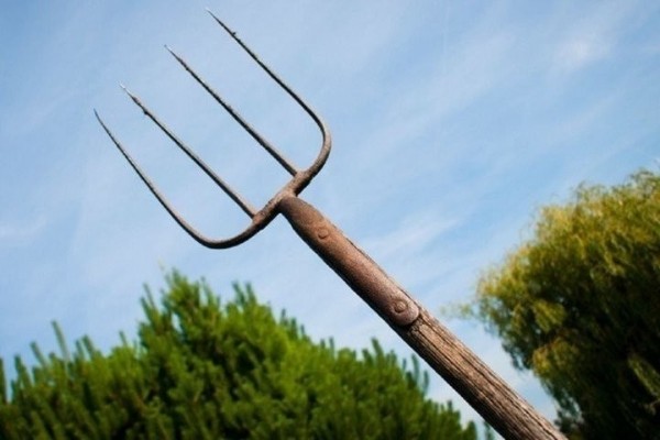 Пенсионерка бросилась на соседа с вилами, а тот защищался триммером