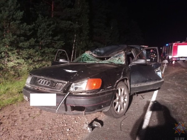 Легковушка сбила лося в Ивановском районе. Пострадали два человека