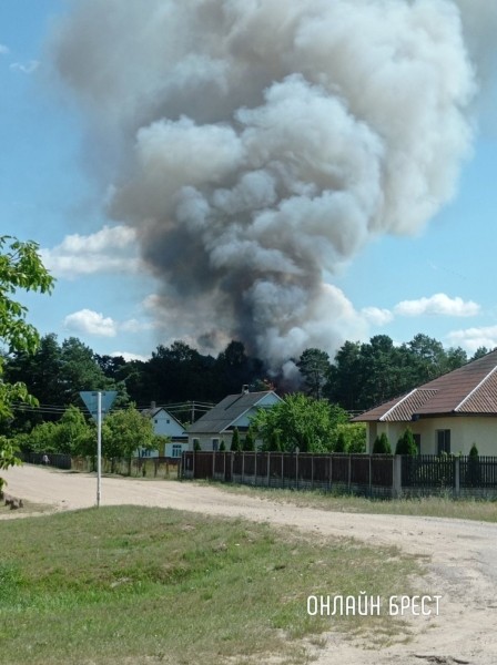 Читатель: Сегодня в Домачево произошел пожар
Читатель: Сегодня в Домачево произошел пожар