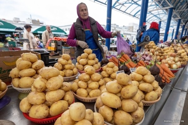 Ранний картофель в Бресте: исследование цен