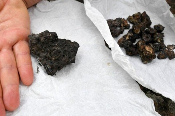 Женщина пила кофе, когда на нее упал странный предмет. Что это было?