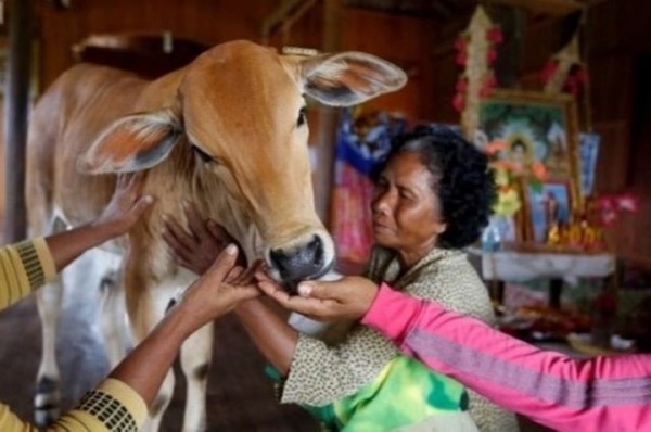 Какие браки самые необычные?