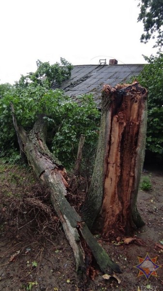 В МЧС рассказали, что натворила непогода в Брестской области В МЧС рассказали, что натворила непогода в Брестской области