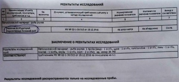 В белорусской деревне из озера достали 3 тонны мертвой рыбы. Что случилось?