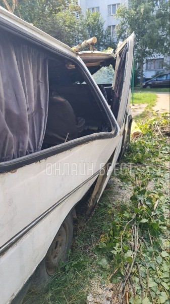 Читатель: Вот что стало с машиной, на которую упало дерево в Бресте
Читатель: Вот что стало с машиной, на которую упало дерево в Бресте