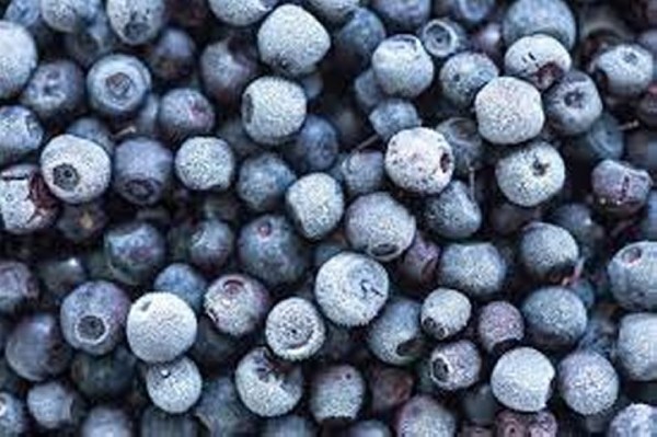 Полезны ли замороженные ягоды и как их хранить? Объясняет эксперт