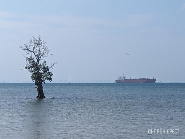 
                Читатель: Привет Бресту с берегов Сингапурского пролива в Южно-Китайском море
            
