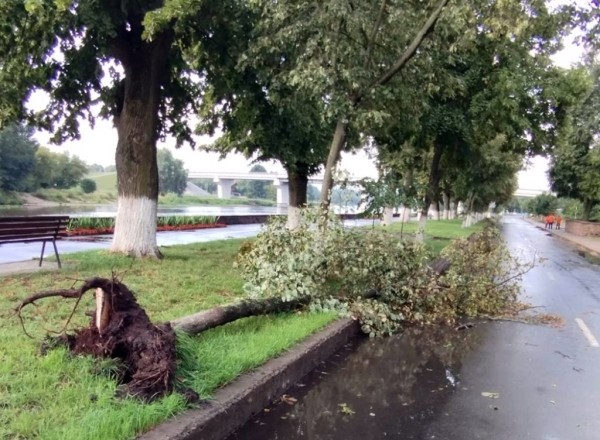 Ураганный ветер, бушевавший в Пинске, наворотил дел