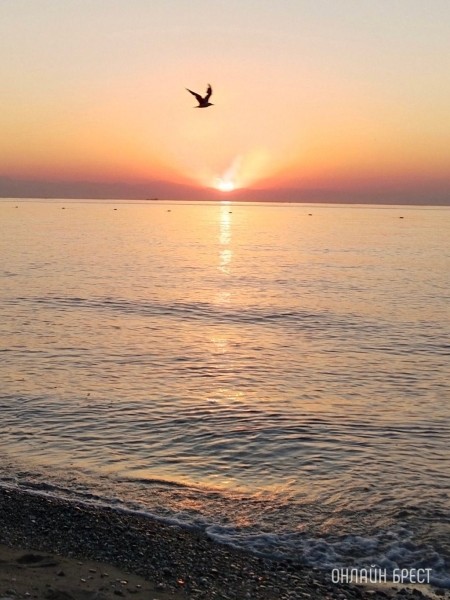 
                Читательница: Котапки на отдыхе :)) Привет Бресту из Бельдиби (Турция)
            