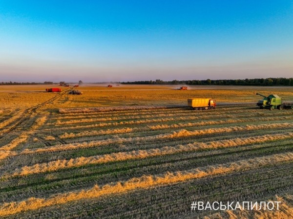 
                Комбайнеры в поле! Рабочий процесс уборки зерна в Брестском районе
            