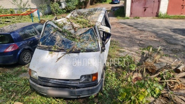 Читатель: Вот что стало с машиной, на которую упало дерево в Бресте
Читатель: Вот что стало с машиной, на которую упало дерево в Бресте