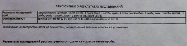 В белорусской деревне из озера достали 3 тонны мертвой рыбы. Что случилось?