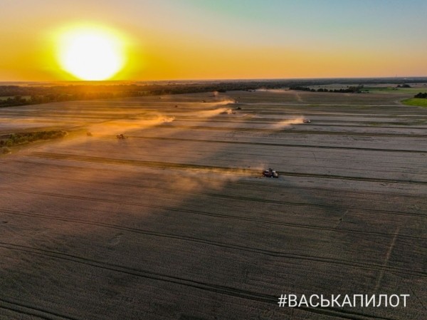 
                Комбайнеры в поле! Рабочий процесс уборки зерна в Брестском районе
            