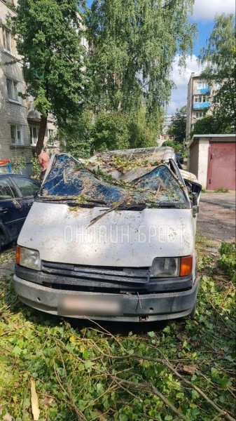 Читатель: Вот что стало с машиной, на которую упало дерево в Бресте
Читатель: Вот что стало с машиной, на которую упало дерево в Бресте