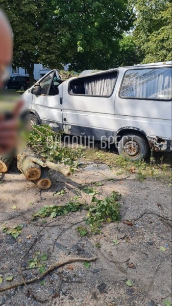 Читатель: Вот что стало с машиной, на которую упало дерево в Бресте
Читатель: Вот что стало с машиной, на которую упало дерево в Бресте