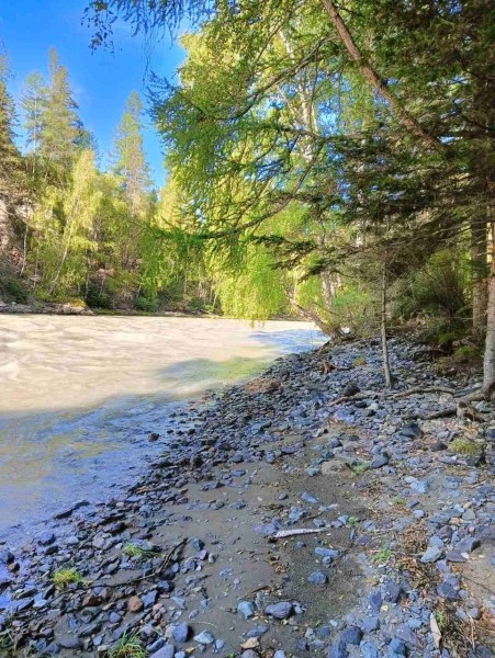 Брестчане покоряют горные реки Алтая