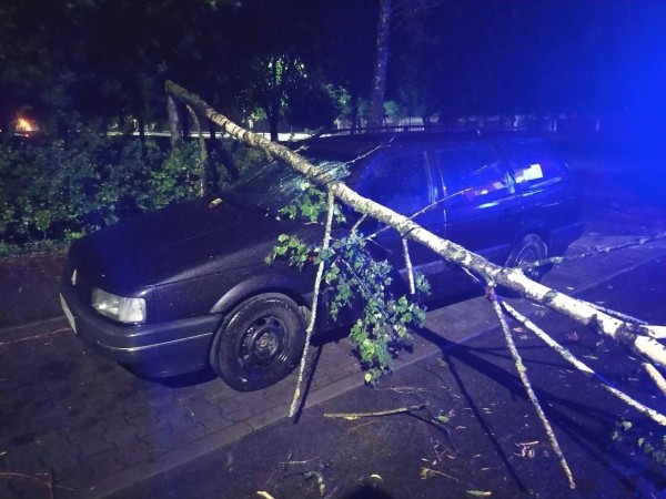 Настоящая стихия прошлась ночью по Бресту