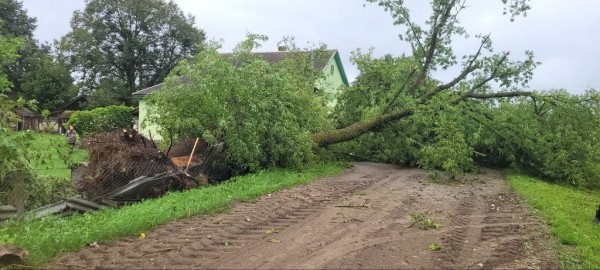 В МЧС рассказали, что натворила непогода в Брестской области В МЧС рассказали, что натворила непогода в Брестской области