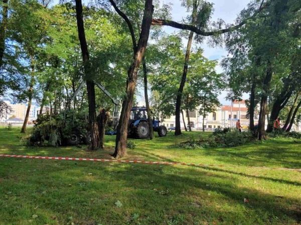 Настоящая стихия прошлась ночью по Бресту