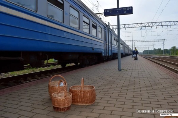 «Лисичек сдавали на 800 рублей, черники – на 1000, корзин продали на 3 тысячи». Как семья подрабатывает на дарах природы «Лисичек сдавали на 800 рублей, черники – на 1000, корзин продали на 3 тысячи». Как семья подрабатывает на дарах природы