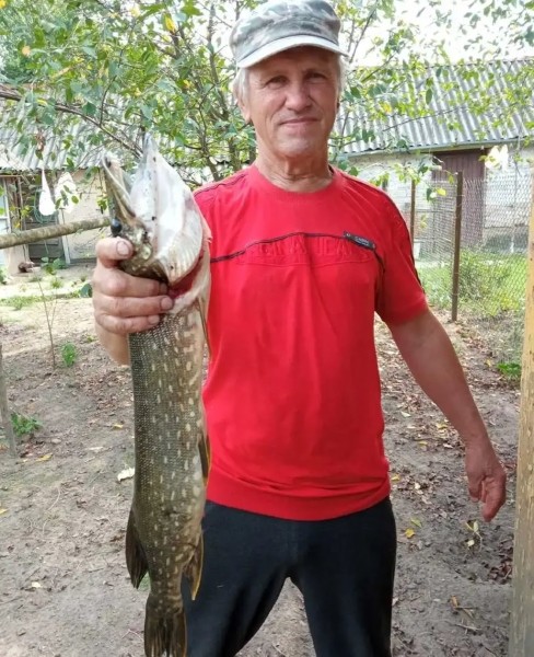 «Лисичек сдавали на 800 рублей, черники – на 1000, корзин продали на 3 тысячи». Как семья подрабатывает на дарах природы «Лисичек сдавали на 800 рублей, черники – на 1000, корзин продали на 3 тысячи». Как семья подрабатывает на дарах природы