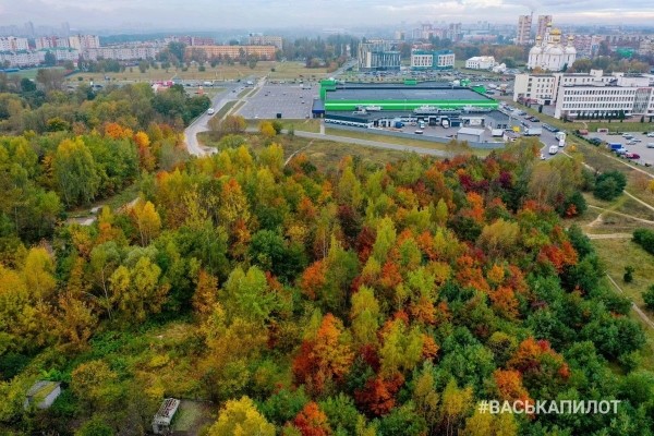 Вот и осень пришла
Вот и осень пришла