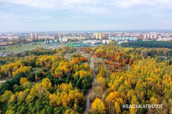 Вот и осень пришла
Вот и осень пришла