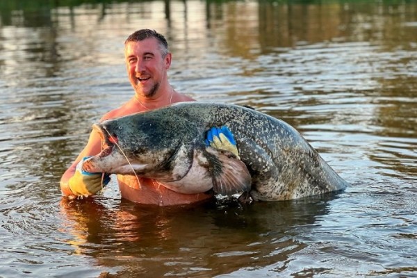 Белорус поймал на Припяти рекордного сома более 2 м в длину Белорус поймал на Припяти рекордного сома более 2 м в длину